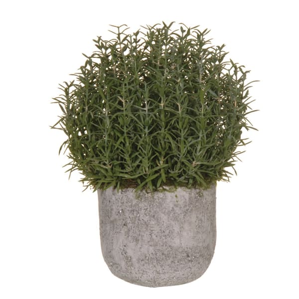 Rosemary faux pot