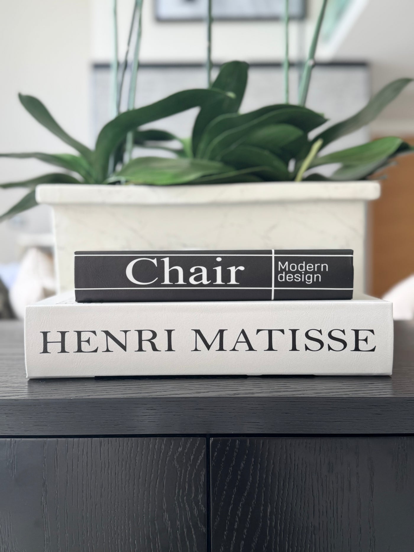 Set of 2 Modern Design Book Boxes