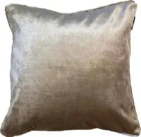 Twofaced Sage And Gold Large Cushion