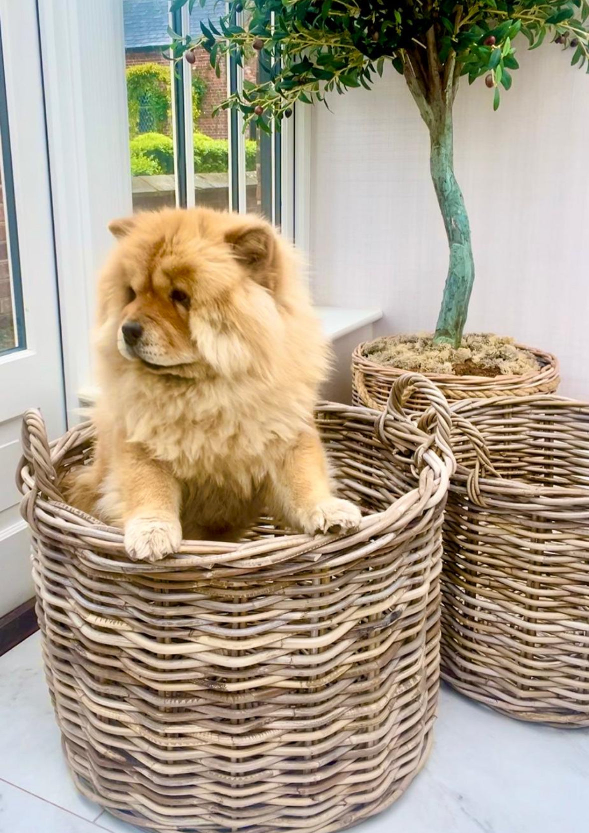 Set of 3 Kubu Rattan Round Storage Baskets