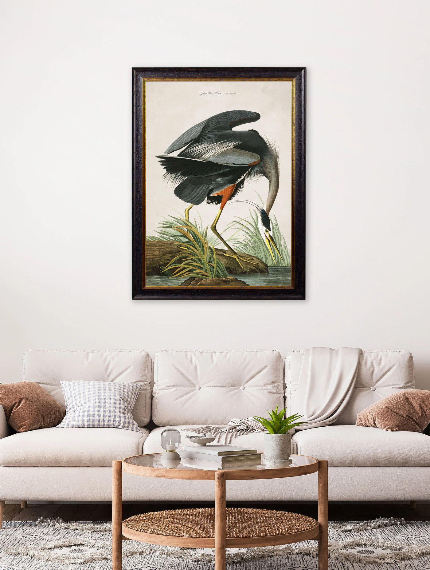 Audubon's Great Blue Heron