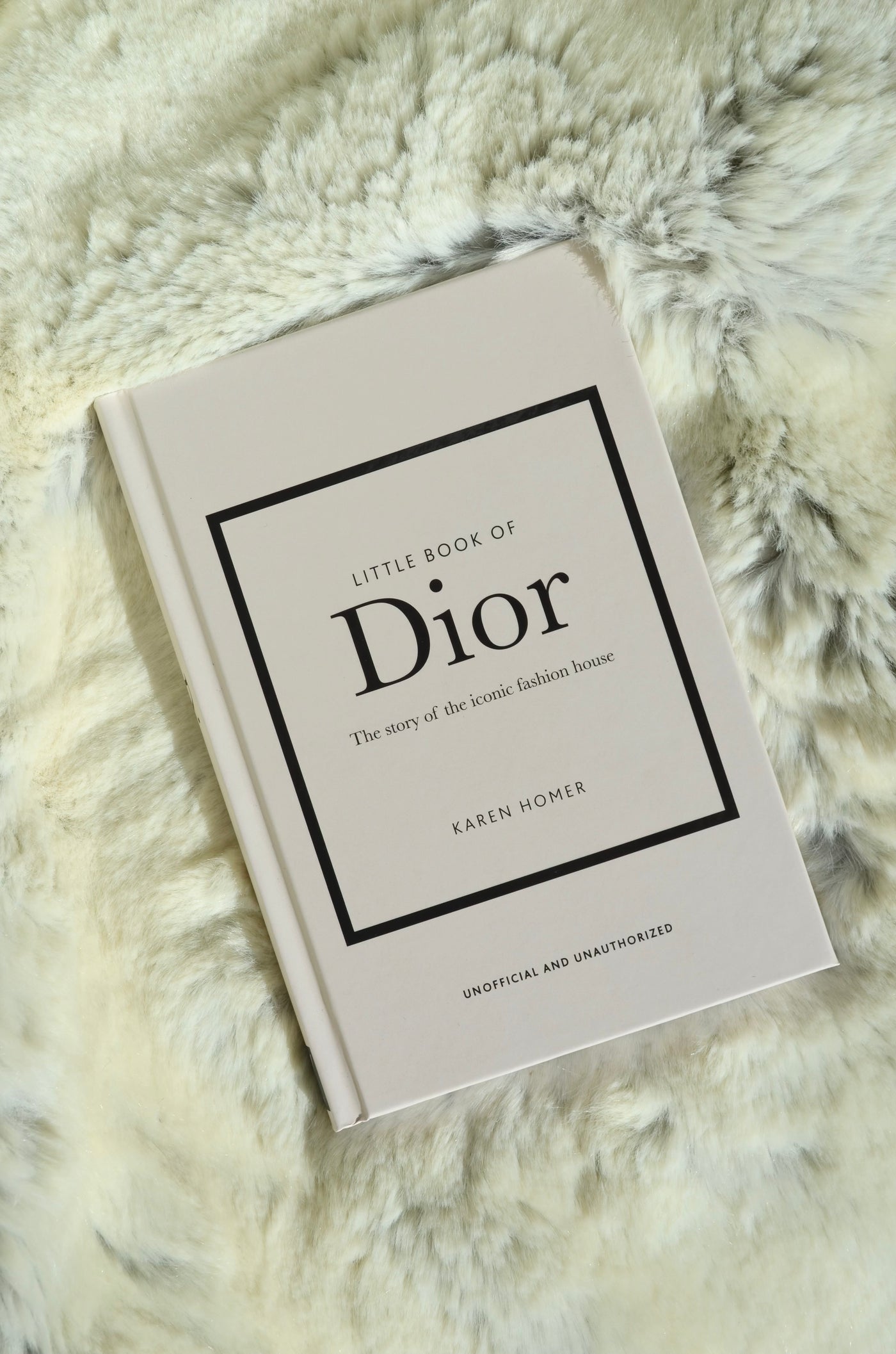 LITTLE BOOK OR DIOR