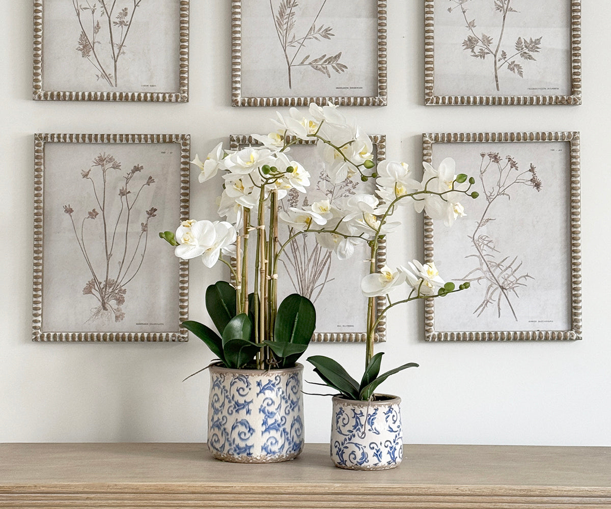 Large Real Touch Orchid in Blue and White Pot