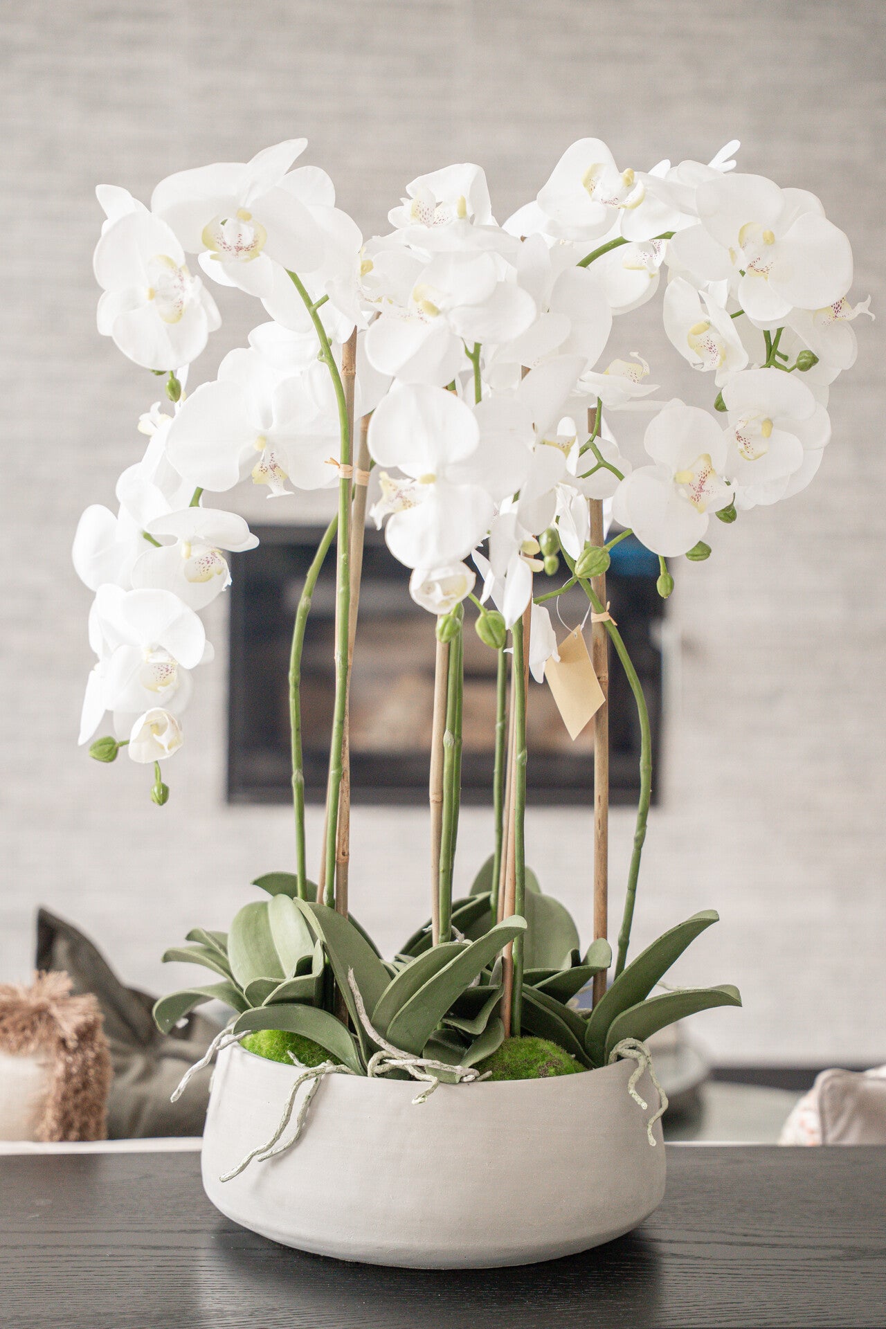 Large White Orchid In Stone Pot