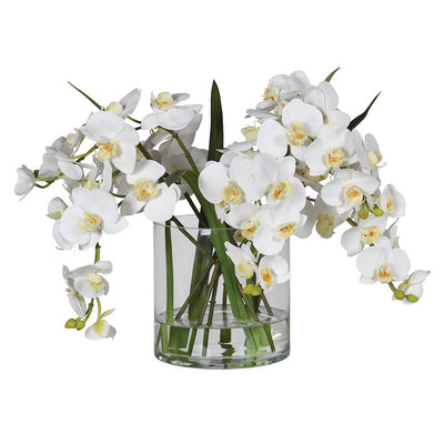 White Phalaenopsis Orchid In Glass Vase