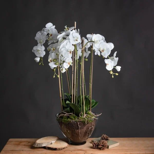 Hill Interiors Large White Orchid In Glass Pot
