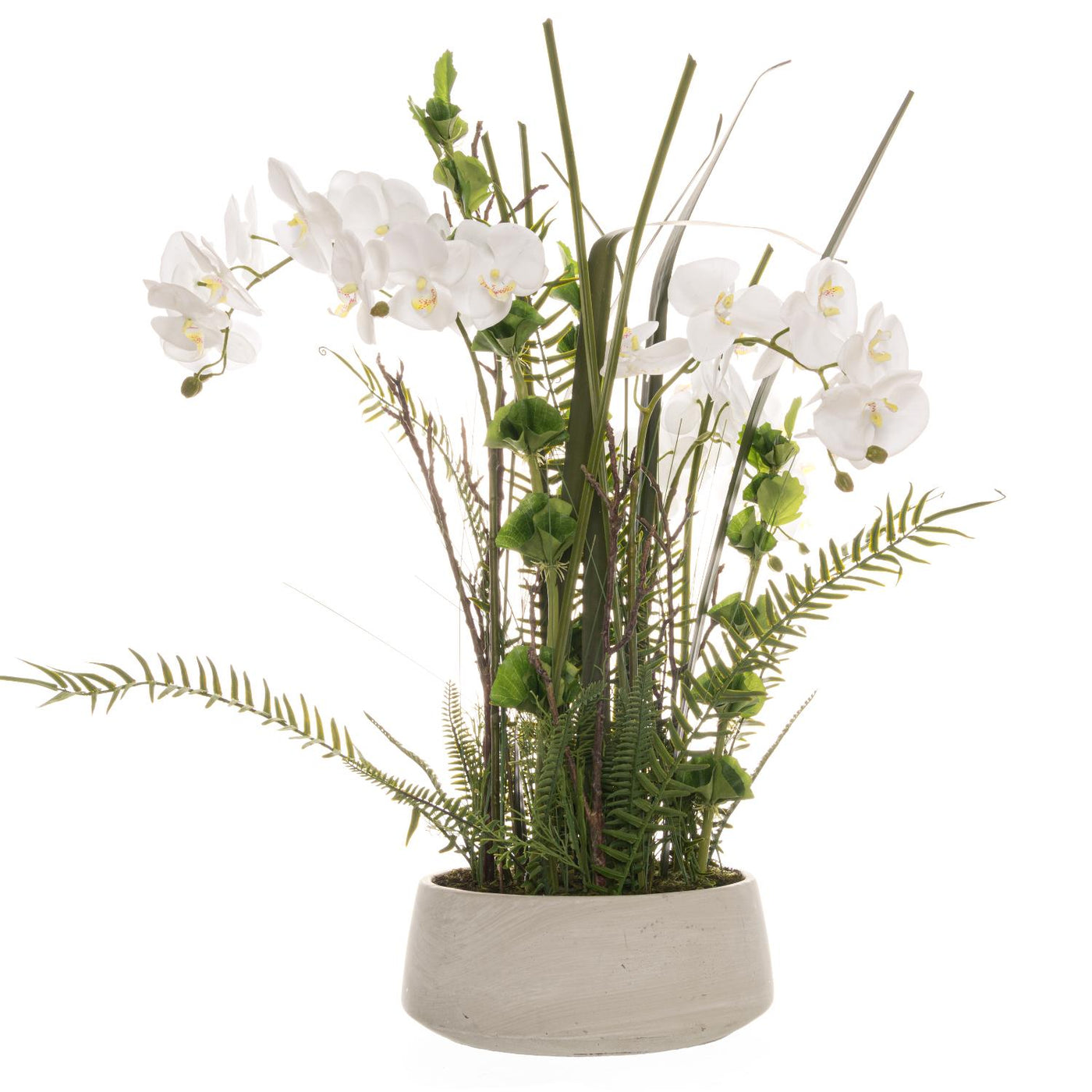 Hill Interiors Arge Potted Orchid In Stone Pot With Fern Detail